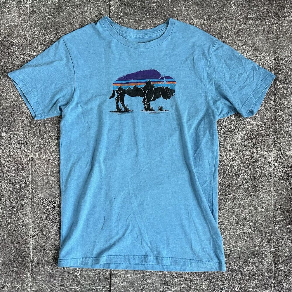 Men's Patagonia Fitz Roy Bison Logo Light Blue Responsibilitee T Shirt Tee Sz M